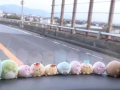 すみっコぐらし ぬいぐるみ マスコット まとめ タグ付き