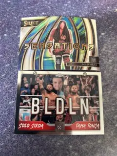 Item thumbnail for item e145e864-17db-401c-bcfd-c2cd2a633951