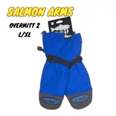 Item thumbnail for item 0c8cf210-5270-4283-9390-ecd65db4e20a