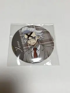 Dr.STONE くじ引き堂　読書の秋　ゼノ　缶バッジ　丸型