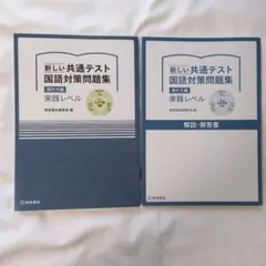 新しい 共通テスト 国語対策問題集 現代文編 実践レベル 大学受験 桐原書店