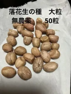 愛知県産 煎り落花生 およそ500g 農薬栽培期間中不使用 - メルカリ