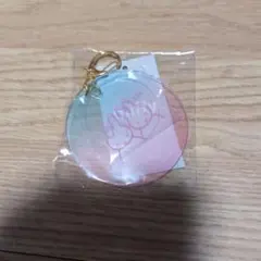 Item thumbnail for item 4f436cc7-66f8-4b71-831f-42a5f57971eb