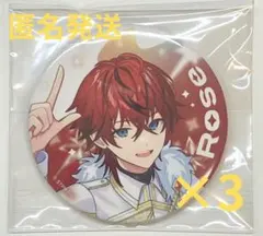 ロゼ Rose すとふぇす 2026 等身 めておら 缶バッジ 22点 ロゼ Rose すとふぇす 2026 等身 めておら 缶バッジ 10点 【公式通販】
