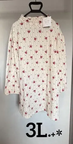 Item thumbnail for item 1a60e3fd-002b-4cfc-82b2-1922963689e2