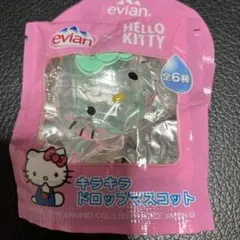 2025年最新】エビアン キティの人気アイテム - メルカリ