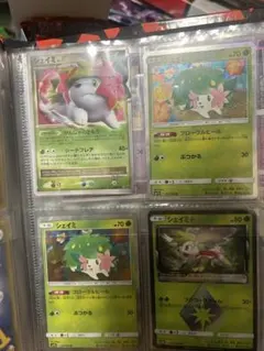 ポケモンカード確認用