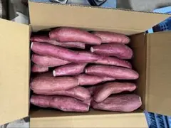 なると金時3.5kg <2S/B品>