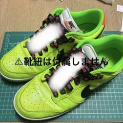 Nike ネオンイエロー スニーカー