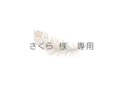 さくら 様専用ページ/〇名入れ