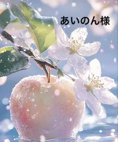 あいのん様専用です