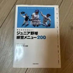 Item thumbnail for item 4b885078-39ab-46f0-896f-dfd3978ab93c