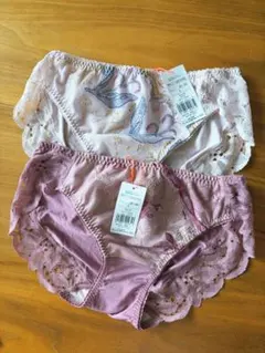 Lの2枚」トリンプ アモスタイル×マナミサクライ レギュラーショーツ