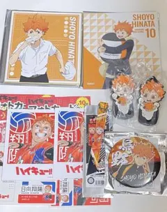 ハイキュー　日向翔陽　まとめ売り　8点