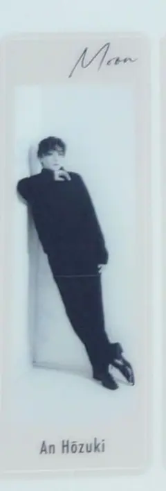 Item thumbnail for item 5e0103b1-1055-4395-b653-fdde19d52fae