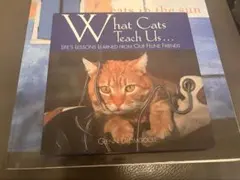 猫　洋書　写真集　2冊セット