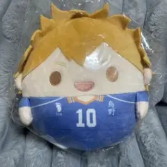 日向翔陽 くじメイト ぬいくじ ハイキュー!! 日向翔陽 くじメイト ぬいくじ C賞 - メルカリ