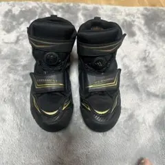 Item thumbnail for item ce5054d4-0c16-4d42-9df9-8bbd6e764402