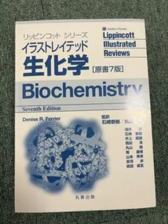 Lippincott Illustrated Reviews 生化学 第7版