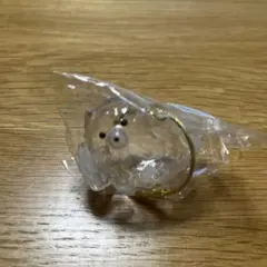 うちの子のけだまだま　ポメラニアン