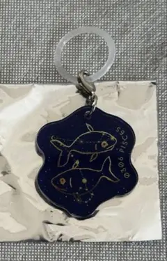 2025年最新】plastic tree アクリルの人気アイテム - メルカリ