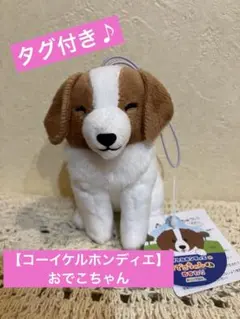 2026年最新】コーイケルホンディエの人気アイテム - メルカリ