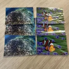 Item thumbnail for item 914e7525-a422-41fe-9f30-cbb4cbd752b5