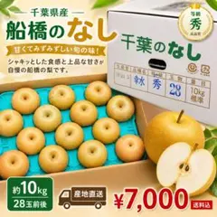 幸水長野県産 みなみ信州 幸水 当日収穫 当日発送！！ 20kg - メルカリ