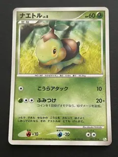 ナエトル Lv.9 ポケモンカード ナエトルLV.9(hp:60/キーのみ/かみつく)の効果や採用されているデッキ
