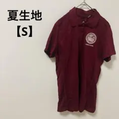 Item thumbnail for item fff7993d-f4c7-4187-a478-50107ea5eab8