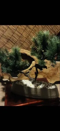 ✨ばぁちゃん家✨天然石 盆栽 置物 七宝焼鉢 牡丹 - メルカリ