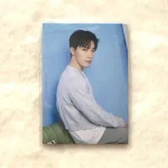 SEVENTEEN HOME トレカ ディノ