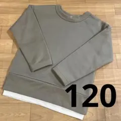 裏起毛　トレーナー　120 男の子　モスキーブラウン