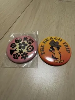 平井大ザビーチトリップ　ミラーのサムネイル