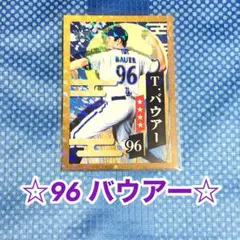 seimi99様 リクエスト 2点 まとめ商品