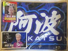 Item thumbnail for item b438619c-6a7c-46fc-bbea-45551aae41c2