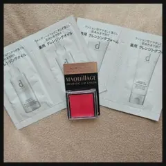 マキアージュドラマティックリップカラー(チェリージュレ)/dプログラム