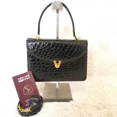 クロコダイル jra