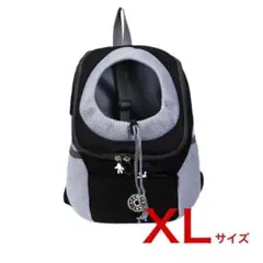 Item thumbnail for item 05fe5ce2-60ab-414f-bf63-f4cf52ea8971