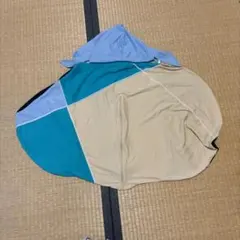 Item thumbnail for item a7844217-92f2-46bb-be5c-5549fc1d225c