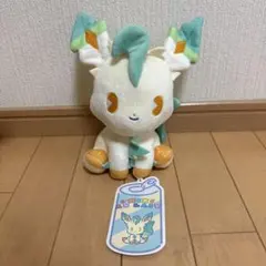 2025年最新】ミックスオレ リーフィアの人気アイテム - メルカリ