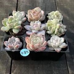 よっこ様 リクエスト 3点 まとめ商品