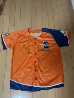 Item thumbnail for item 18c31cb4-1f6b-41a5-a867-fb45d92e773b