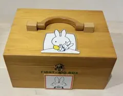 Item thumbnail for item 591c3799-1e67-4510-8f76-c870f87a0ff5