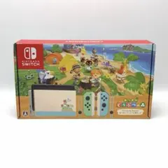 Nintendo Switch あつまれどうぶつの森セット 本体+周辺機器