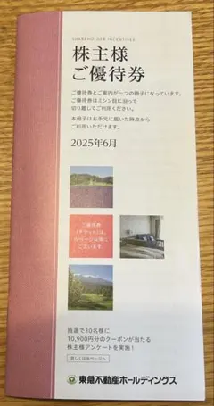 【papa _11様専用】【東急不動産ホ－ルディングス】株主優待券冊子