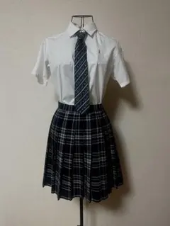 制服 高校生 スカート ブルー ネイビー チェック プリーツ 平成