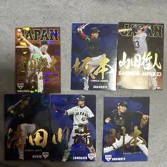 日本代表カードセット ワールドカップ記念グッズ 中田英寿 日本代表カードセット ワールドカップ 日本代表 中田英寿 記念カードセット トレカ 直筆