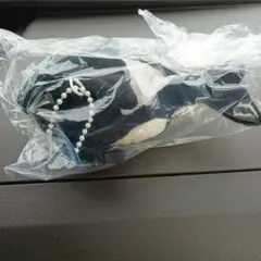 Item thumbnail for item e260d97c-add7-46ae-9ab9-ee0b006ae8c9