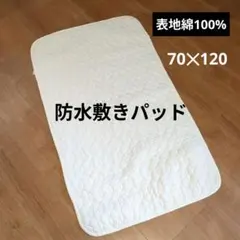 Item thumbnail for item 2bee0fea-11c7-4a6f-9ccd-b756994b1820